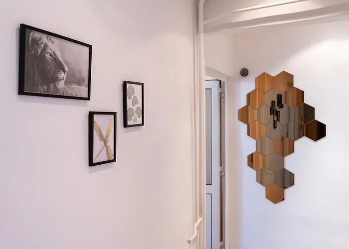 Teo's Cozy Daire Sofya